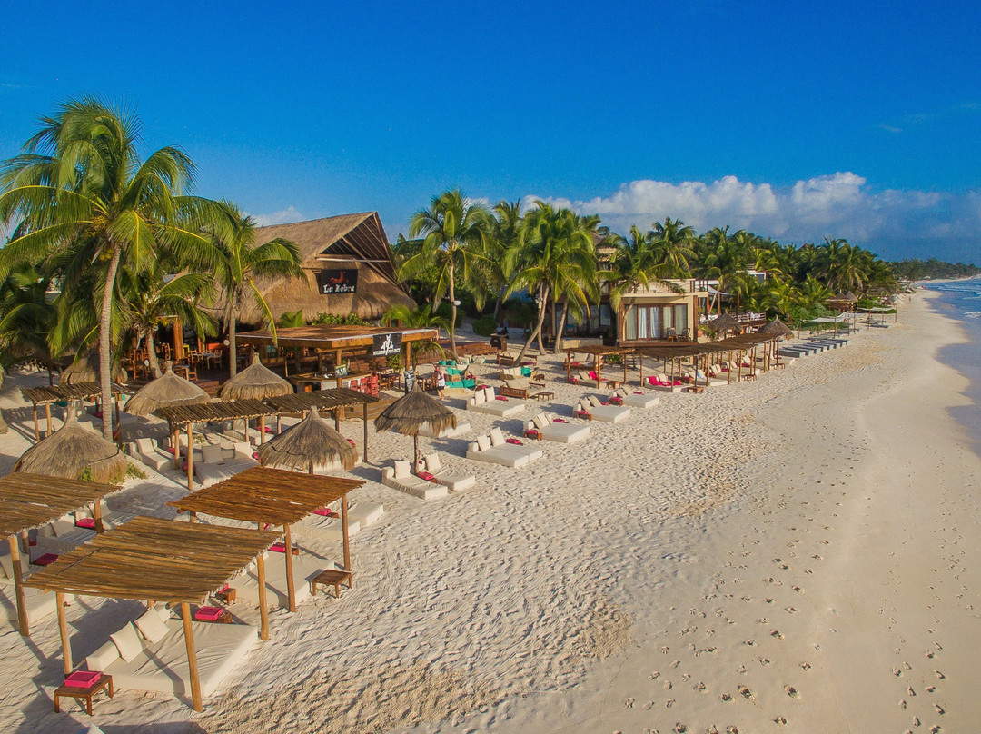 泽布拉科丽布里精品酒店主图