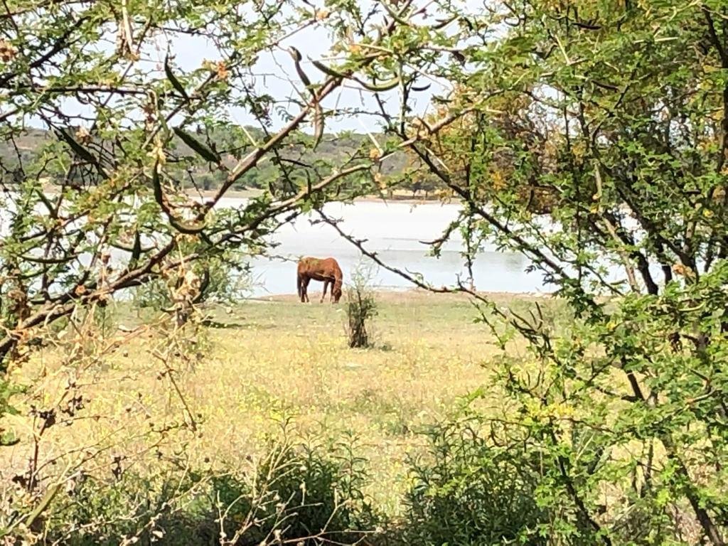 Mesa Verde By Rotamundos-官方