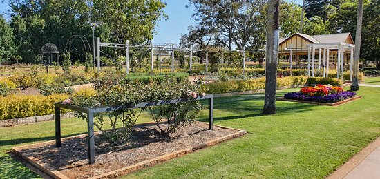 Newtown Park & Queensland State Rose Garden景点图片