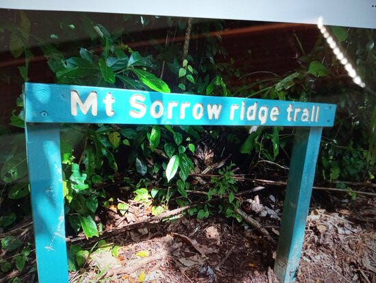 Mount Sorrow-Cape Tribulation必去景点