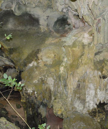 Kiwengwa Caves景点门票图片