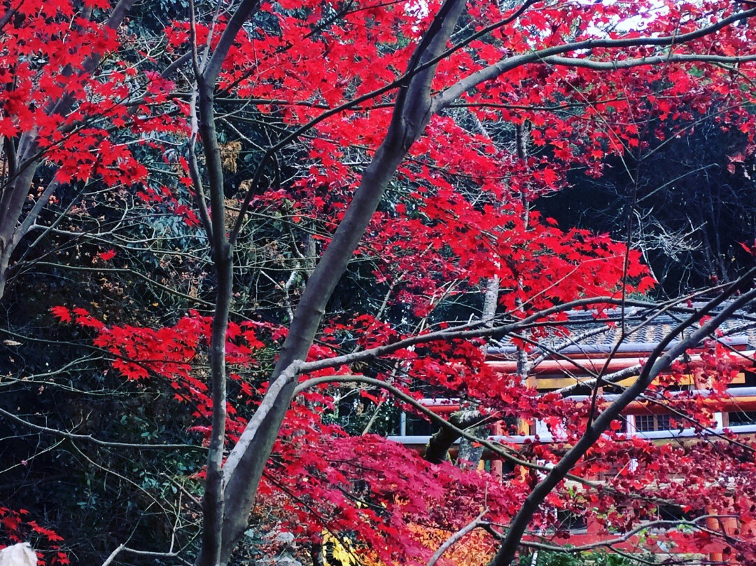 Kannon-ji Temple