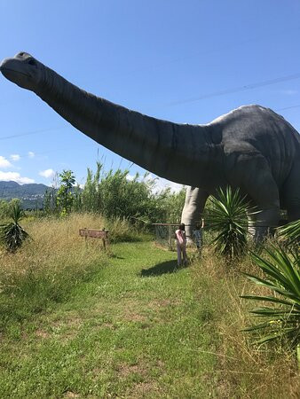 奥利瓦景点vives park - dinosaurios park旅游攻略_点评_地址_门票