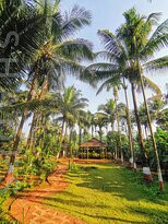 Majhya Mamacha Gaon主图