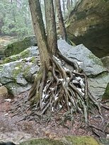 Old Man's Cave-洛根必去景点