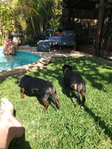 Bali@Avalon Bed & Breakfast主图