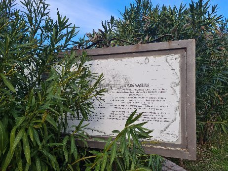 Stara Maslina-Tomba必去景点