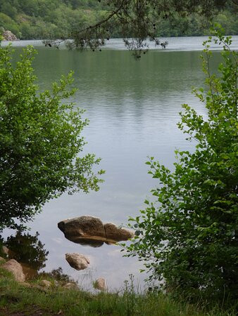 Gour de Tazenat景点图片