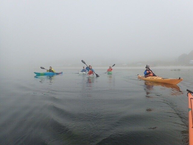Kayak Wild Islay-Port Ellen必去景点