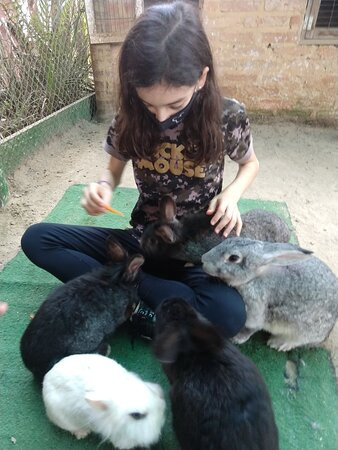 Cia dos Bichos-Cotia必去景点