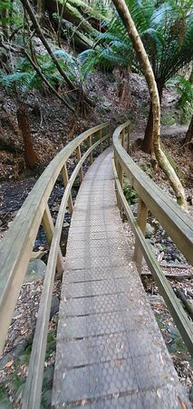Myrtle Gully Aka Oates Falls景点图片