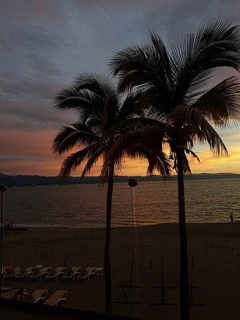 Puerto Vallarta Tours and Concierge-瓦拉塔港必去景点