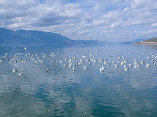 Morning Wood Hotel主图