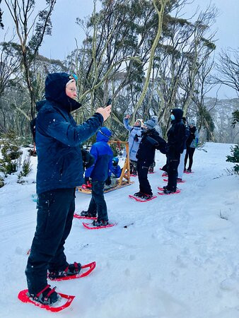 Alpine Nature Experience-Mount Hotham必去景点