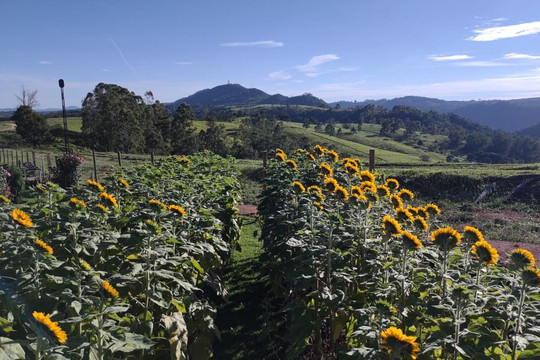 Park Vitrine Das Flores-塞拉内格拉必去景点