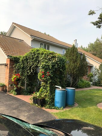 Mcdougall Lane Bed & Breakfast主图