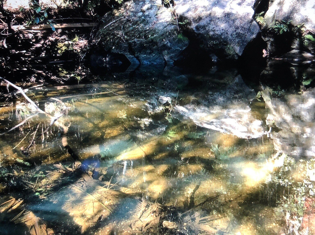 Hazel Falls Woodford-Woodford必去景点