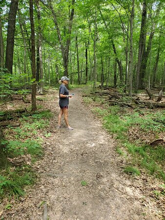 Rocky Arbor State Park-威斯康星峡谷必去景点