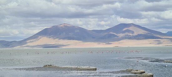 Parque Nacional Salar del Huasco-伊基克必去景点