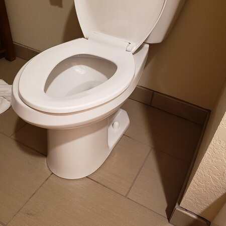 Comfort Inn & Suites主图