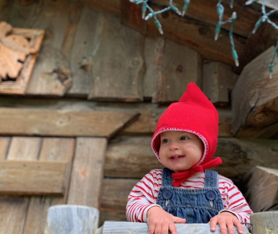 Alaska's Harvest Bed & Breakfast主图