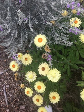 Seville Hill Winery-Seville必去景点