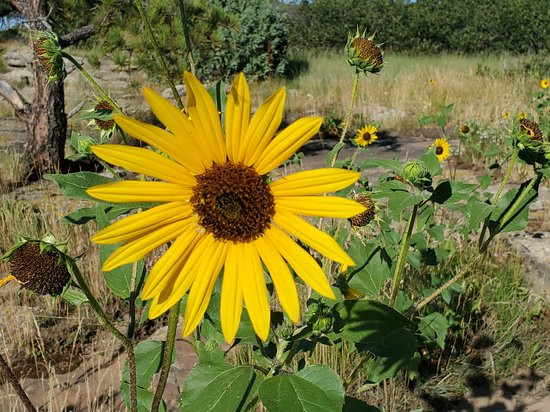 Gateway Mesa Open Space Park景点图片