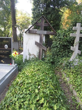 Olšany Cemetery景点图片