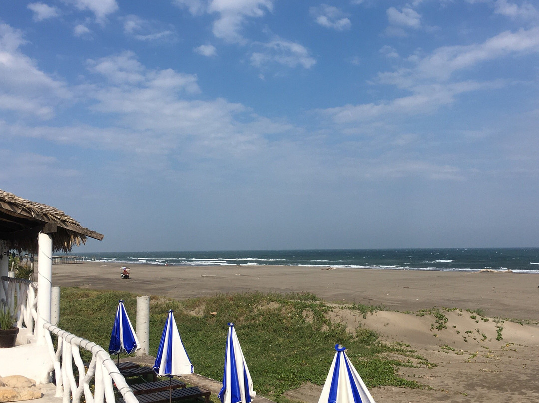 Hotel Palma Blanca主图