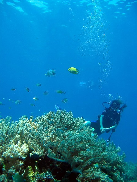 Reef Seen Divers' Resort景点图片