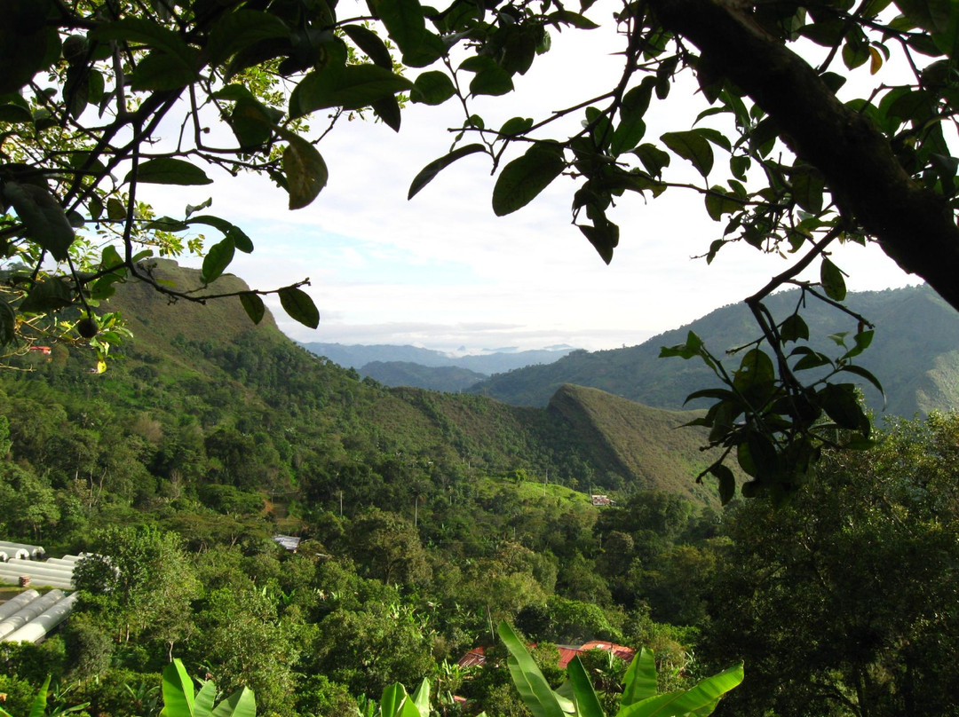 San Francisco旅游攻略图片