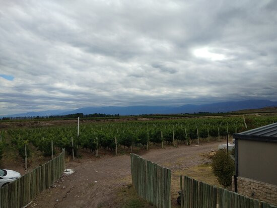 Auberge du Vin, a Tribute Portfolio Hotel, Tupungato主图