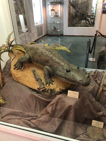 Nature Museum of The Kostroma Region景点图片
