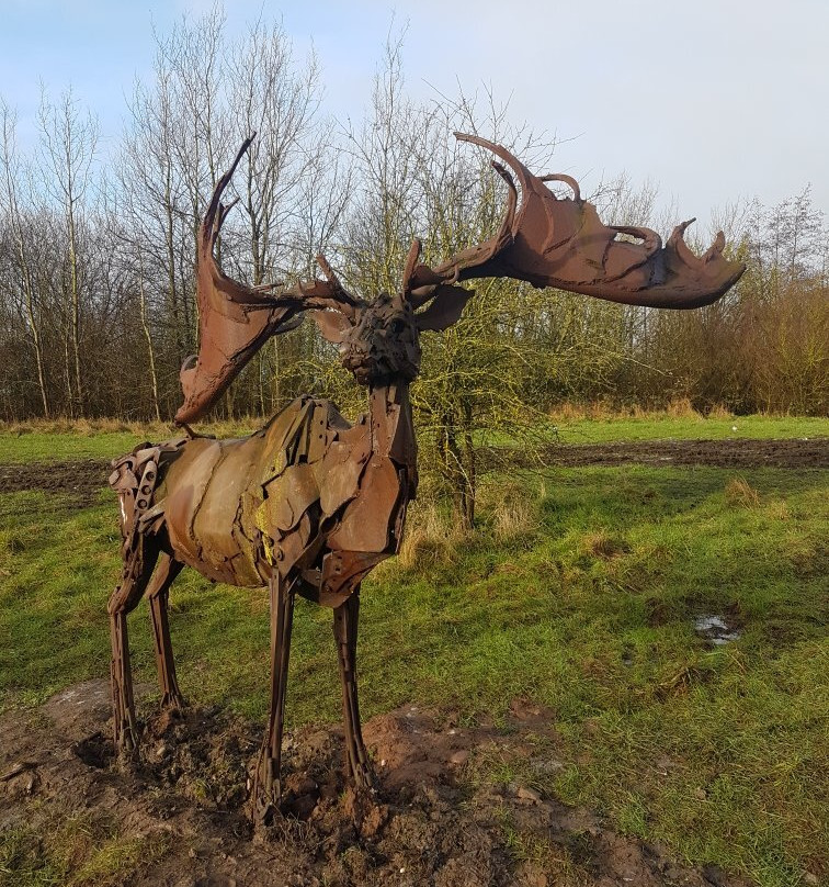 Snibston Colliery Country Park景点图片