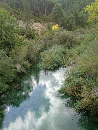 Parque Natural del Alto Tajo景点图片