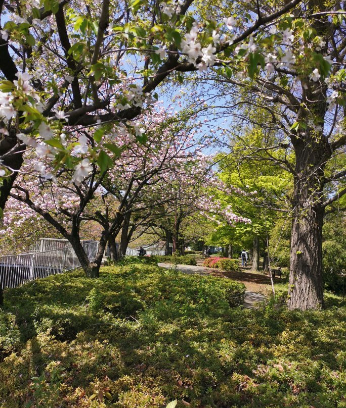 Sengawa Park-三鹰市必去景点