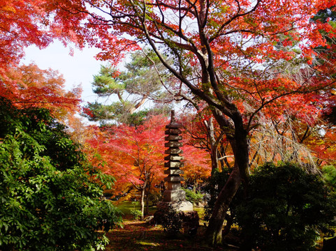 宝严院-京都市必去景点