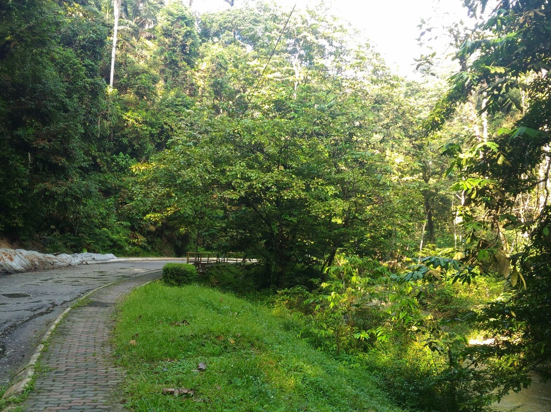 Ampang Recreational Forest景点图片