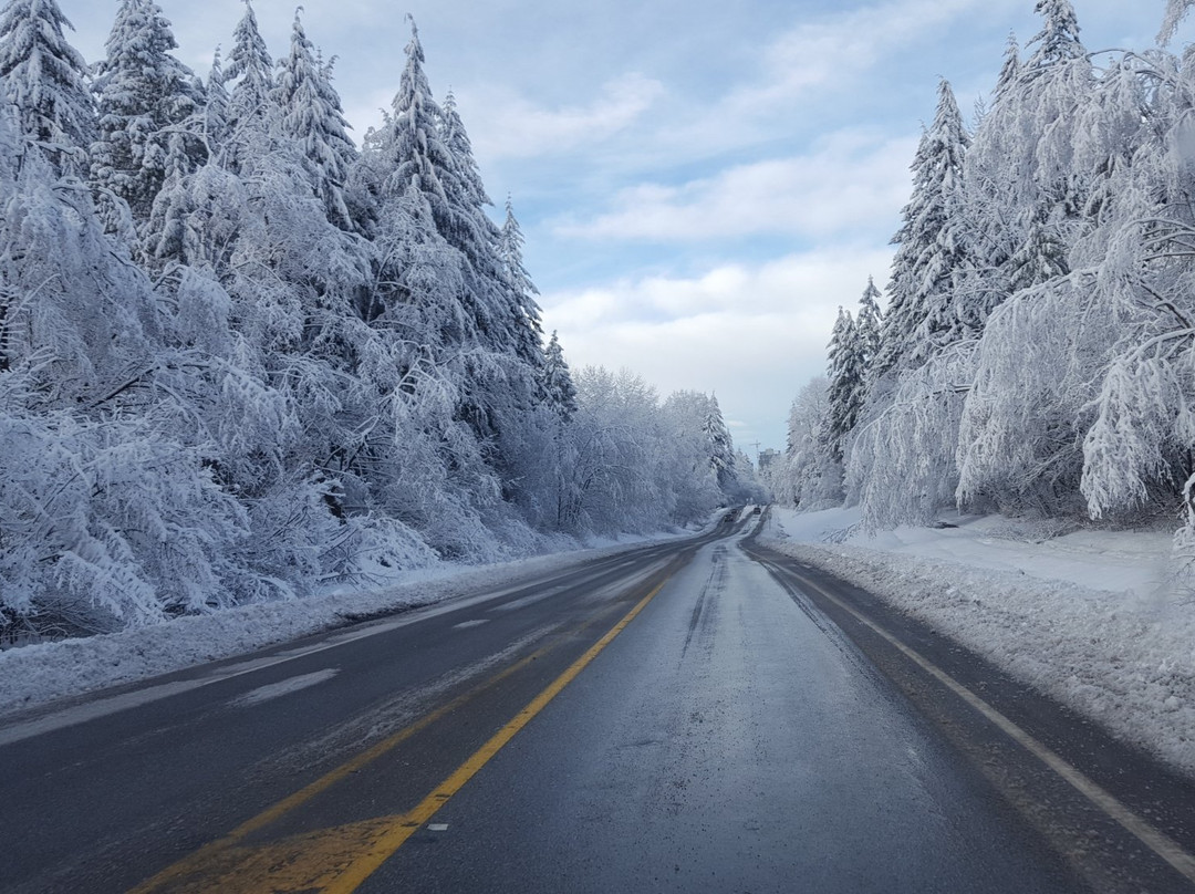 素里旅游攻略图片
