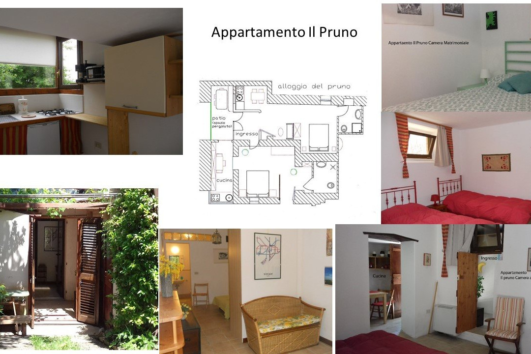 Agriturismo Il Palmarone