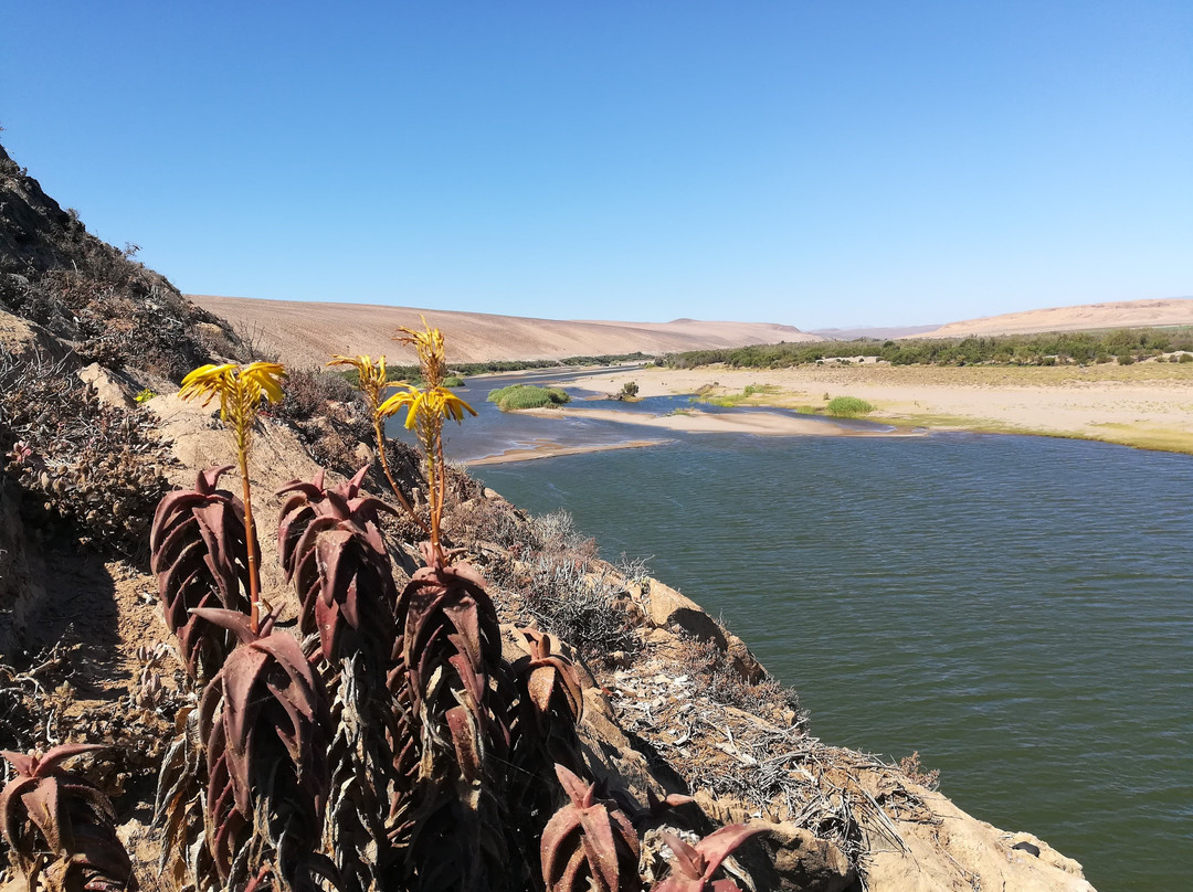 Oranjemund旅游攻略图片