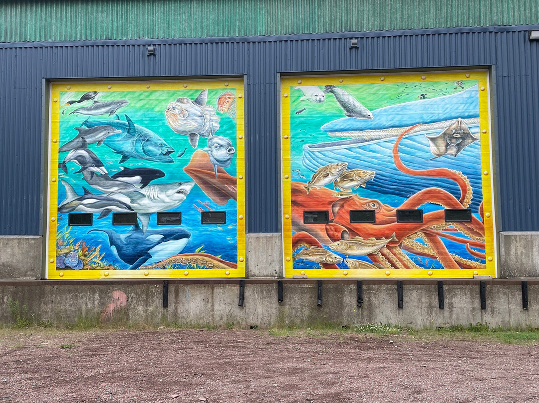Botwood Murals景点图片