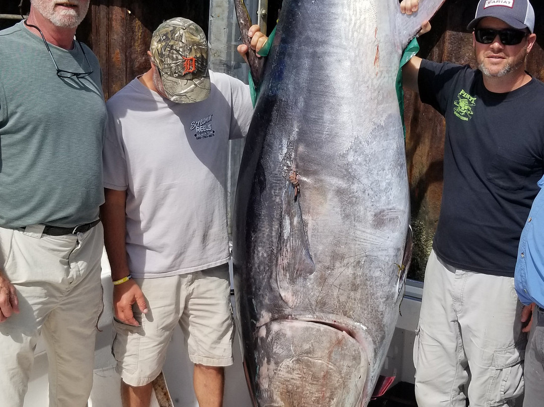 Abdow's Magic charters-查塔姆必去景点