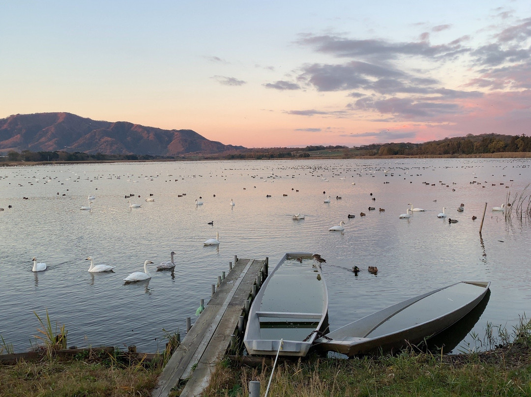 Sakata Park-新泻市必去景点
