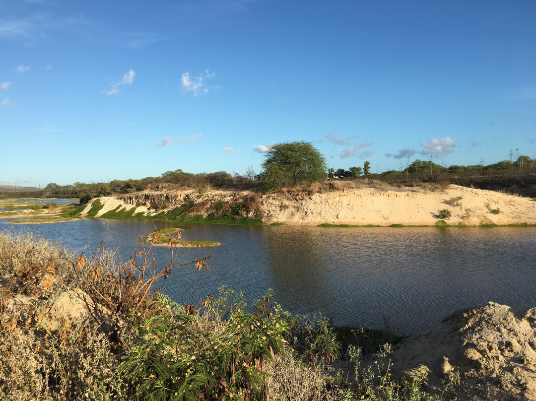 Kawai‘ele Waterbird Sanctuary景点图片