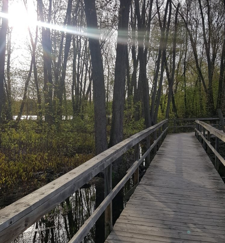 Mississippi Riverwalk Trail