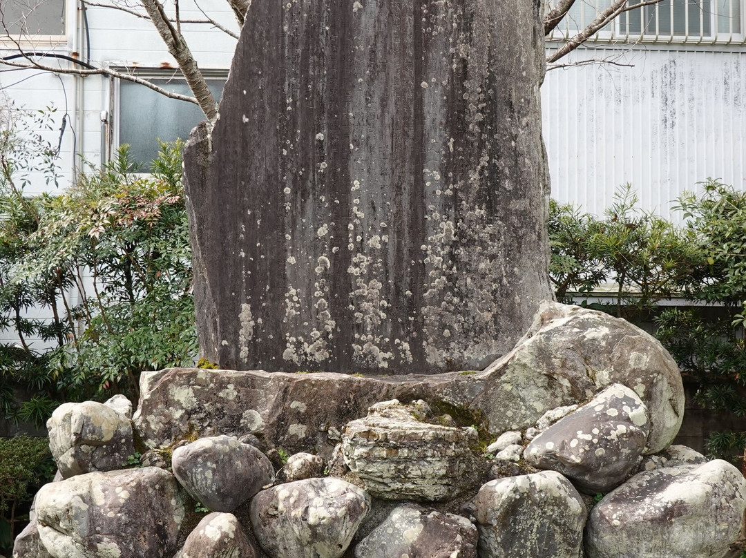 Seihoji Temple-宿毛市必去景点
