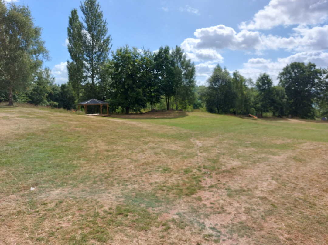 Wellness Woodlands