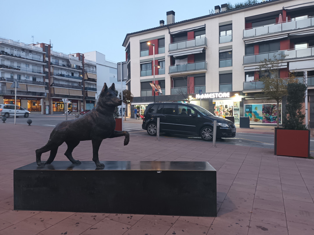La Loba De Calella