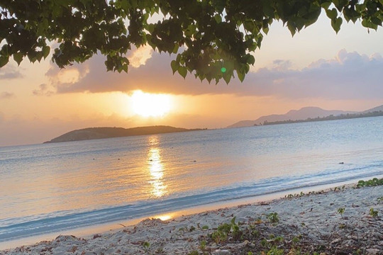 Vieques Concierge-维切克岛必去景点